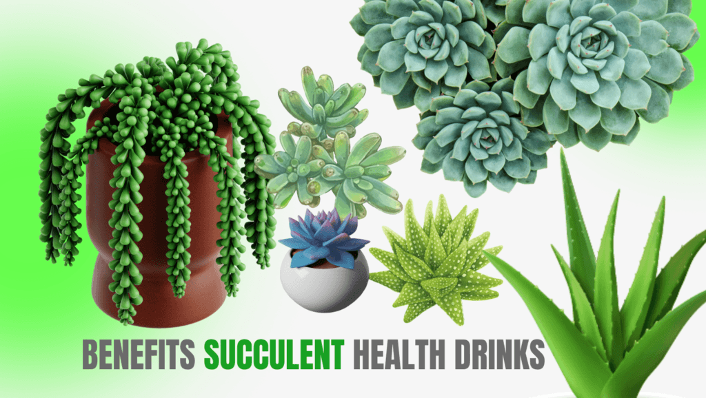 7 Succulent In Some Health Drinks