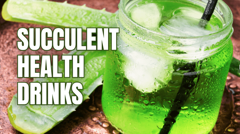 7 Succulent In Some Health Drinks