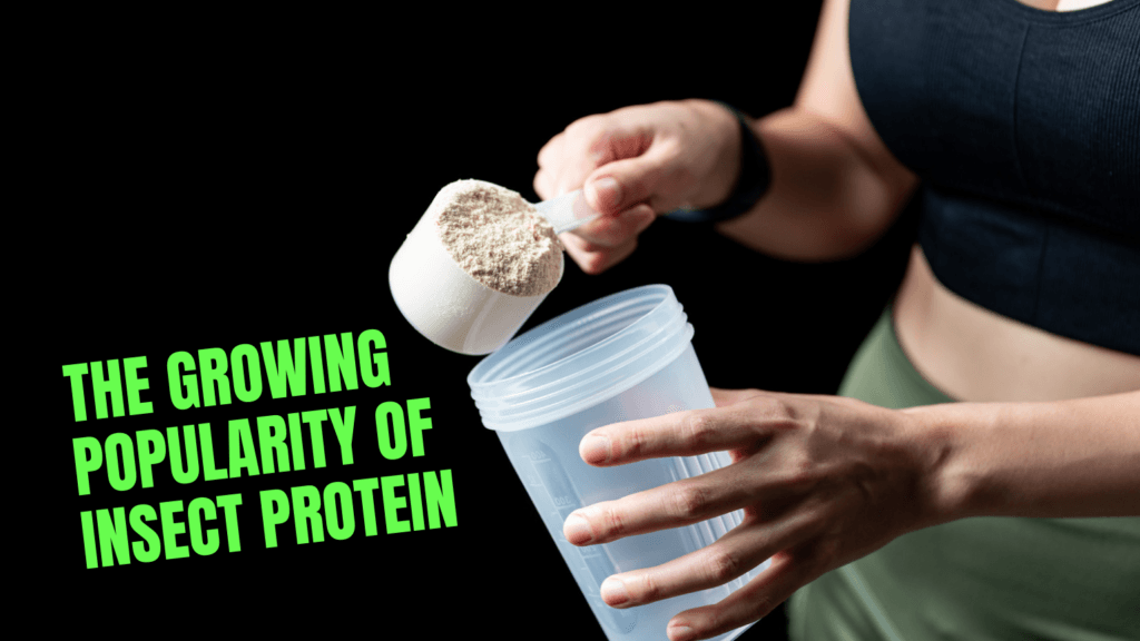 Is Protein Powder Made From Worms? Truth Behind Insect Protein