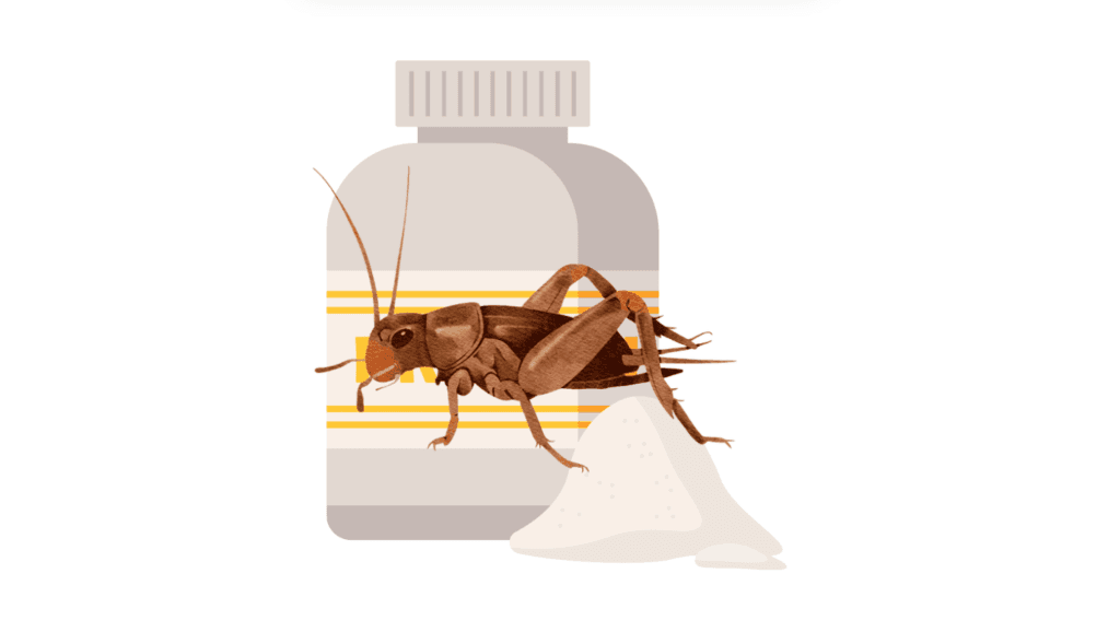 Is It Good To Eat Cricket Flour? Top Health Benefits