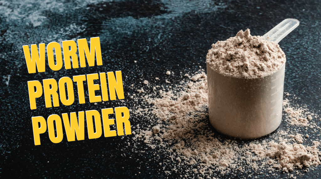 Is Protein Powder Made From Worms? Truth Behind Insect Protein
