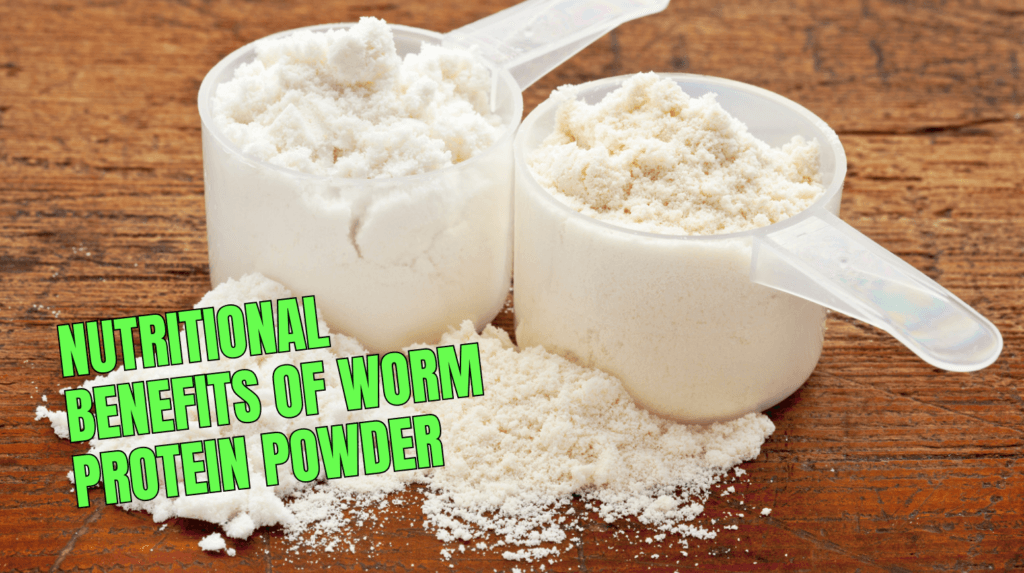 Is Protein Powder Made From Worms? Truth Behind Insect Protein