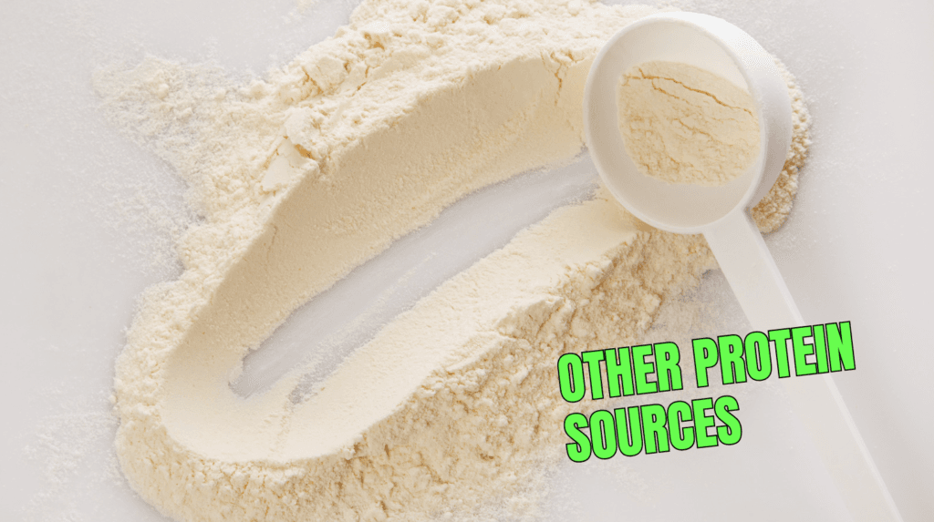 Is Protein Powder Made From Worms? Truth Behind Insect Protein